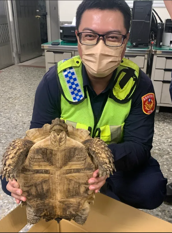 象龜重約10多公斤。警方提供