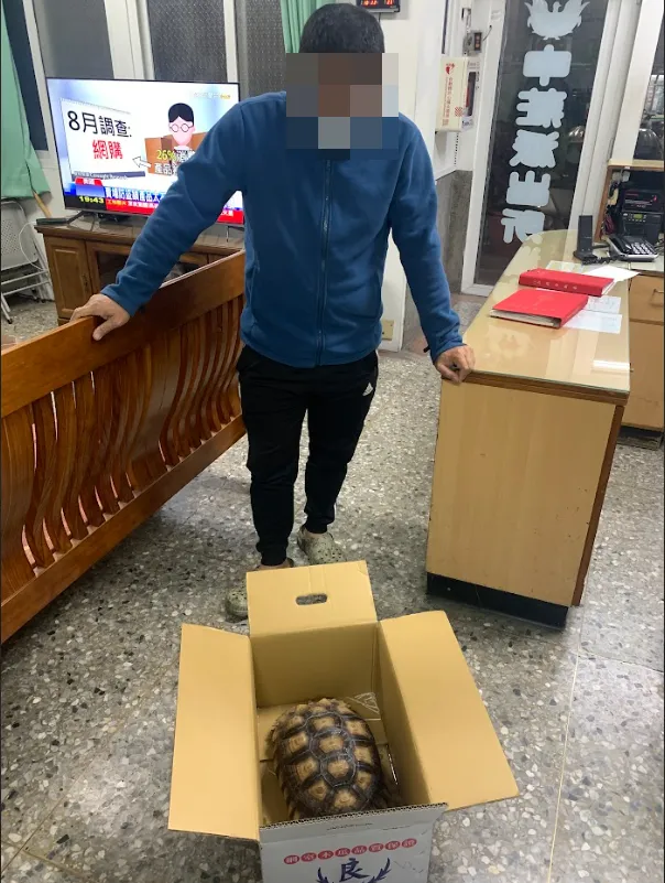 警方找到象龜交還失主。警方提供