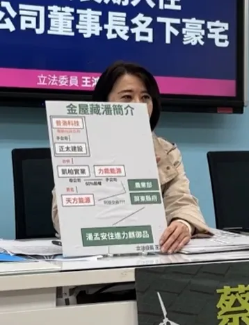 王鴻薇出示圖表，說明力麒建設與力能能源、天方能源公司是同集團關係企業。翻攝自王鴻薇臉書