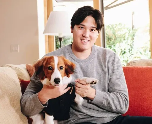 大谷翔平曝光生活中最美滿三件事！透露有「牠」陪伴不再孤單
