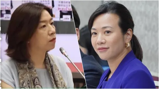 吳欣盈出訪受阻砲轟政府　綠委斥：外交需要夥伴，不是公主