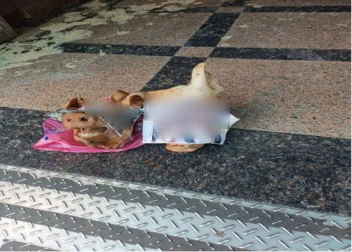 擺生豬頭、潑魚罐頭暴力討債 台中竹聯幫明仁會5惡霸落網