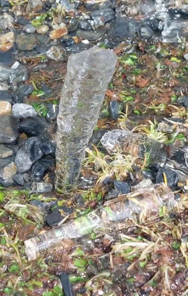 冰柱落下若打到人會超痛。翻攝自鄭明典臉書