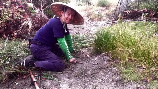 小腦萎縮「不倒的農夫」阿港伯病逝!享壽70歲 網淚哀悼