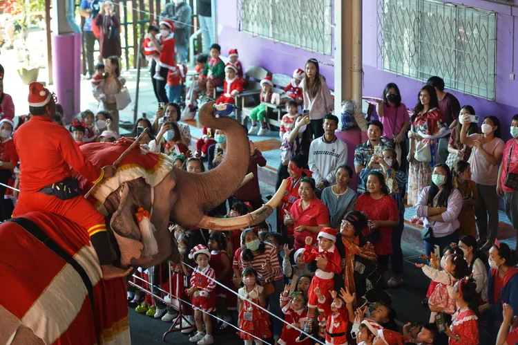 泰國大城府的聖誕大象，到學校分送聖誕節禮物給學童。新華社