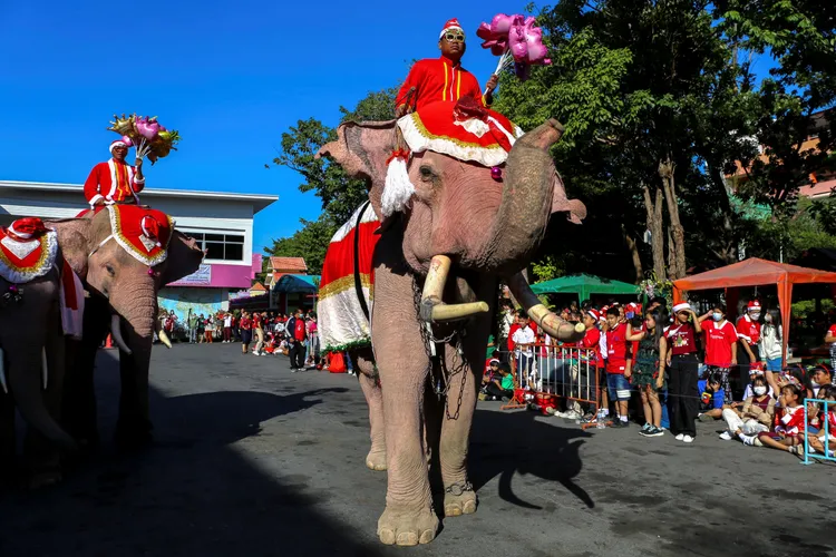 泰國大城府的馴象師，穿上聖誕老公公服裝，帶著象群浩浩蕩蕩到學校中。路透社