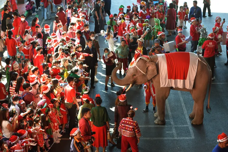 泰國大城府的聖誕大象，讓學生興奮尖叫。新華社