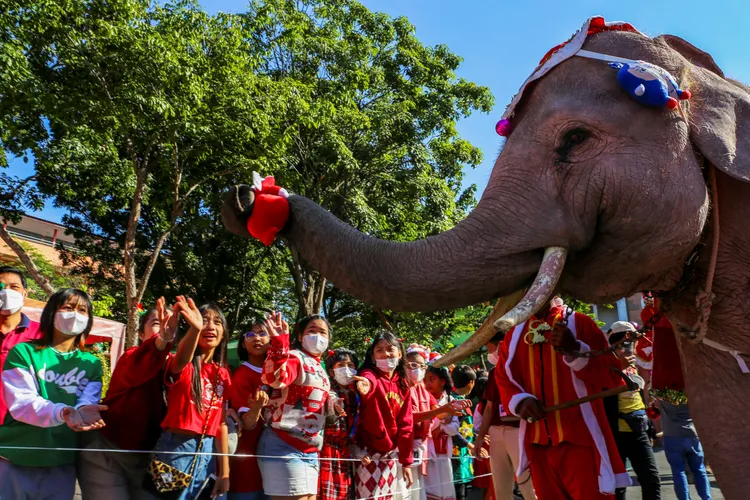 泰國大城府的聖誕大象，捲著聖誕禮物送給學童。路透社