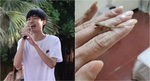 小壁虎主動爬手「趴下讓摸頭」!柯辰勳母淚:回來看媽媽了