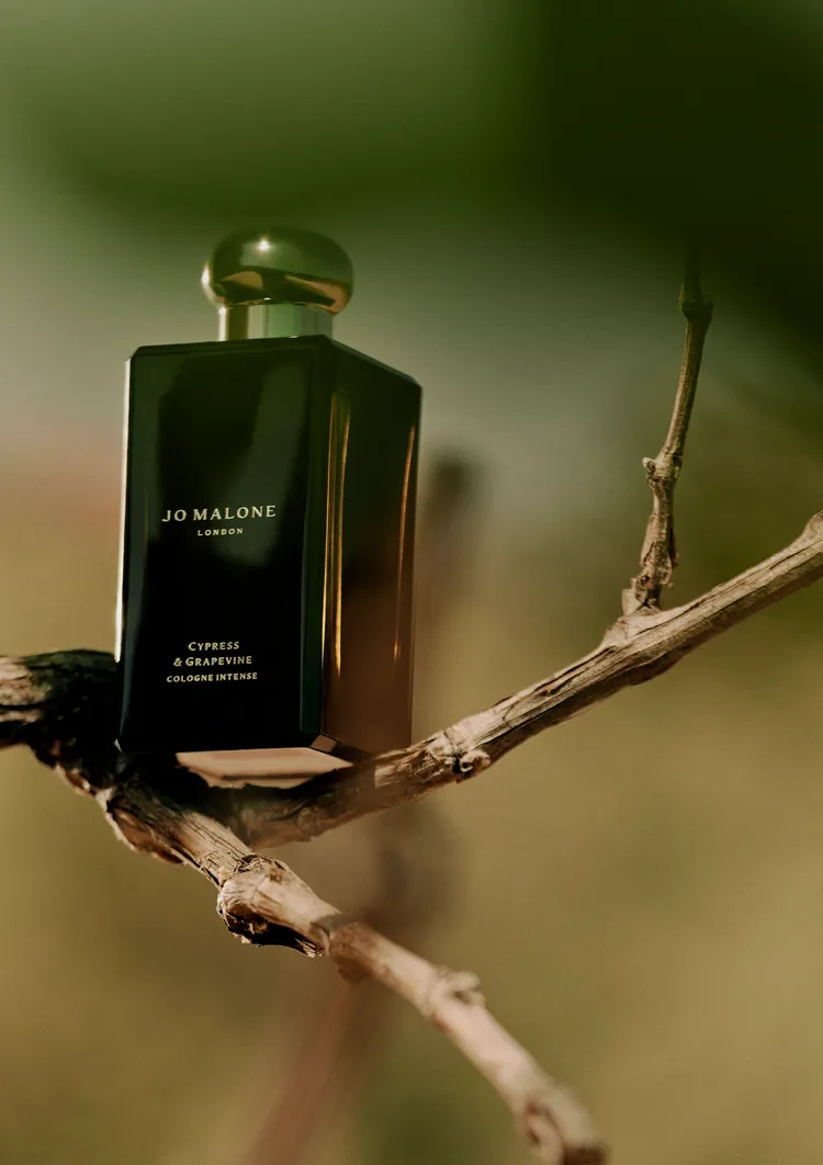 在台灣銷售表現亮眼的絲柏與葡萄藤芳醇香水，50ml／5650元、100ml／7800元。品牌提供