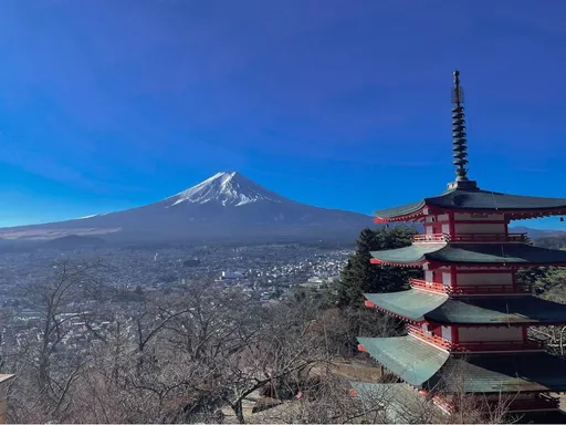 赴日旅遊小心!東京鏈球菌咽喉炎拉警報 這族群最危險!嚴重釀全身性感染