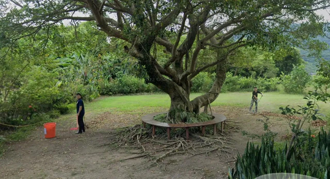 賴清德老家門前院落被google街景捕捉到有疑似維安在幫忙掃落葉,而國安局解釋右邊人員是該寓所工人。翻攝自google map