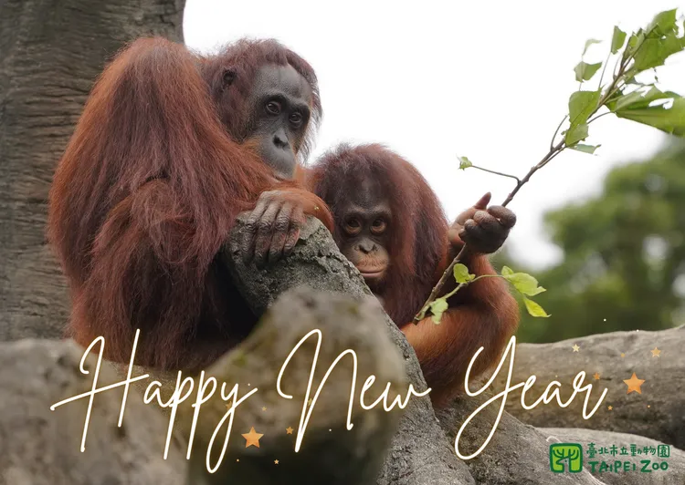 台北市立動物園113年元旦提早到8時開園。動物園提供