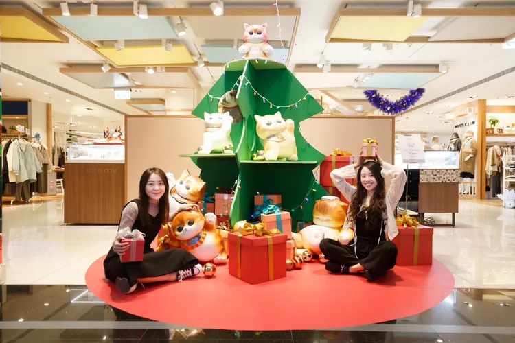 多個樓層都有可愛的萌貓打卡點。中友提供