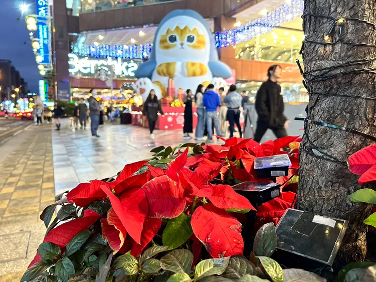 中友百貨大量使用活體植栽，並以太陽能板減少燈飾所耗電能。中友提供