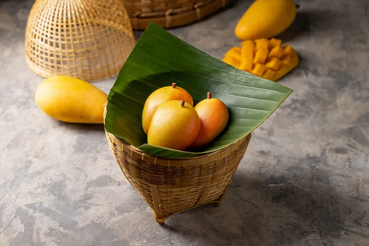 帕泰家新品皇金芒果包168元。業者提供