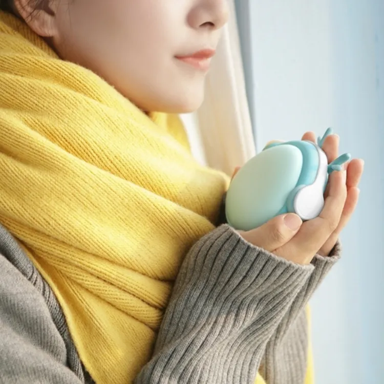 樂天市場迷你萌寵樂團暖手寶原價999元，特價849元。業者提供