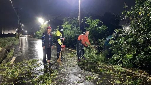 桃園整天大雨路樹倒塌影響交通 警協助排除避危害