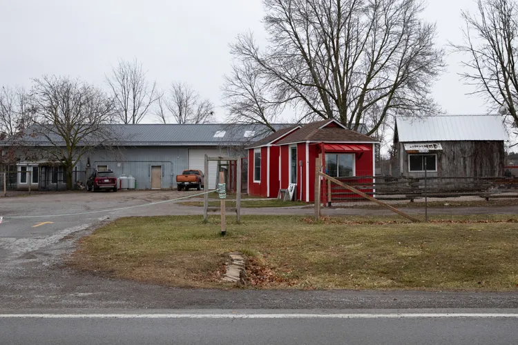 袋鼠逃脫地點安大略省歐夏瓦動物園及趣味農場。路透社