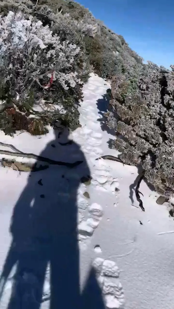 廖玉惠拍下積雪畫面。雪管處志工廖玉惠提供