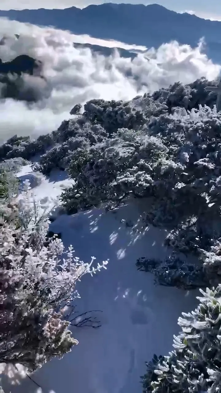 雪山聖稜線被白雪覆蓋，與雲海構成絕美景色。雪管處志工廖玉惠提供