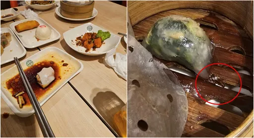 「添好運」蒸籠有蟑螂 驚人照曝光!總公司:全台分店重新檢視