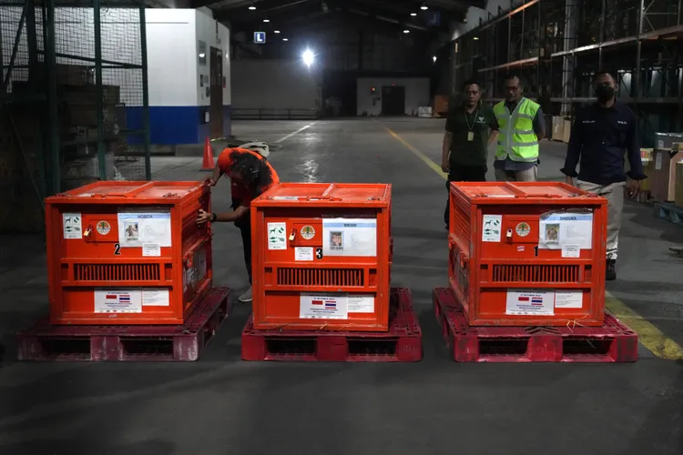 大雄、靜香、布萊恩在曼谷蘇凡納布機場等待登機回家。美聯社