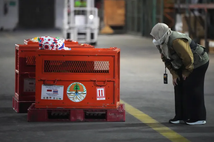 曼谷蘇凡納布機場，官員在登機前確認紅毛猩猩的狀況。美聯社