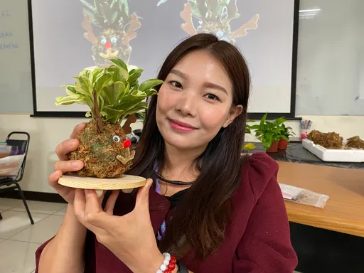 新住民手作聖誕苔球提前慶佳節　療癒小物好舒壓