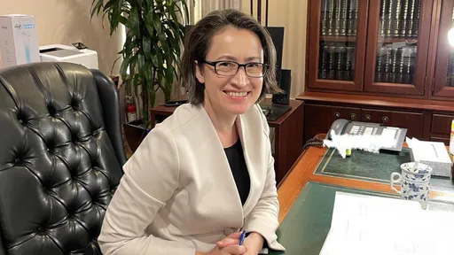 指蕭美琴曾申請恢復國籍!不得參選副總統? 藍營:講清楚說明白