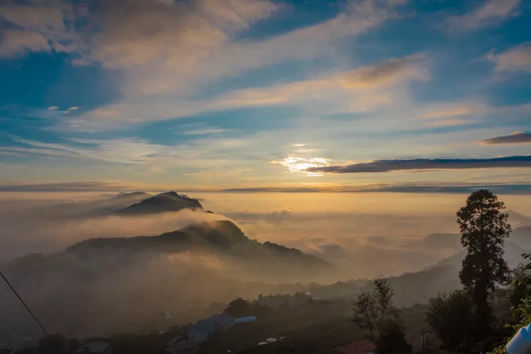 阿里山的日出。日管處提供