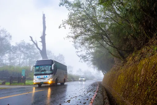 全台最美高山好行路線通車 串遊日月潭、阿里山國際雙景區