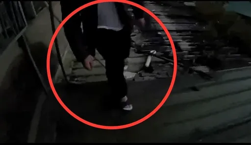 屋主這原因化身蜘蛛人躲警 糗爆!爬遮雨棚逃無路狼狽落網