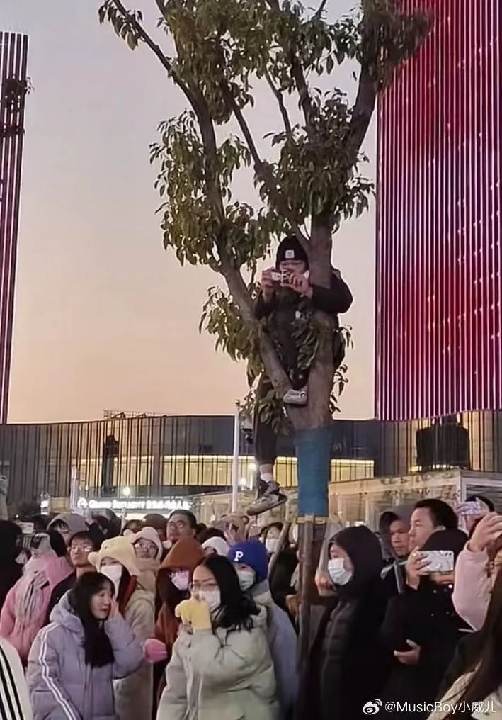 還有歌迷爬樹。翻攝MusicBoy小威兒微博