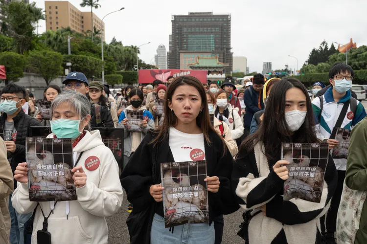 動社盼廢A4格子籠。動社提供