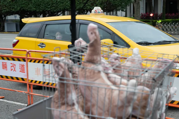 農業部認為要考量成本及售價。動社提供