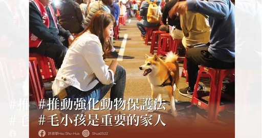 華姐政見|北市驚傳駭人連續凌虐殺貓案 許淑華怒轟:動保法輕罰不足嚇阻犯罪!
