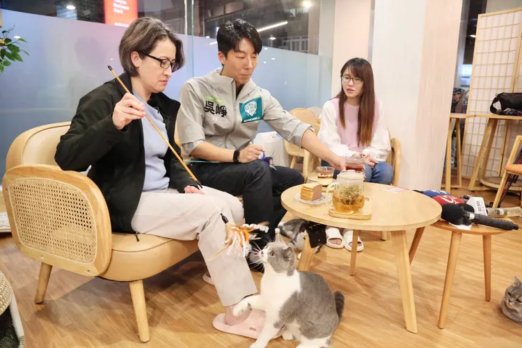 蕭美琴拿起逗貓棒與貓互動。賴清德競總提供
