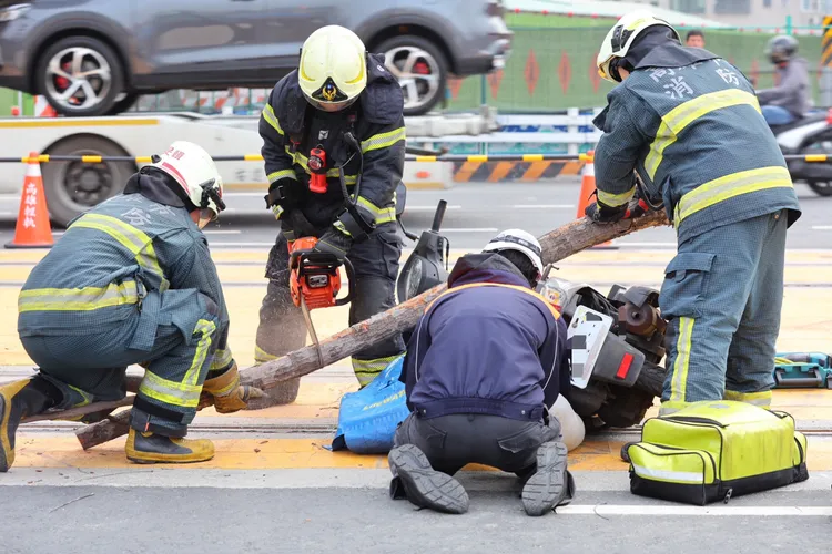 履勘模擬演練輕軌列車遭倒塌雨豆樹撞擊，排除異物。市府提供
