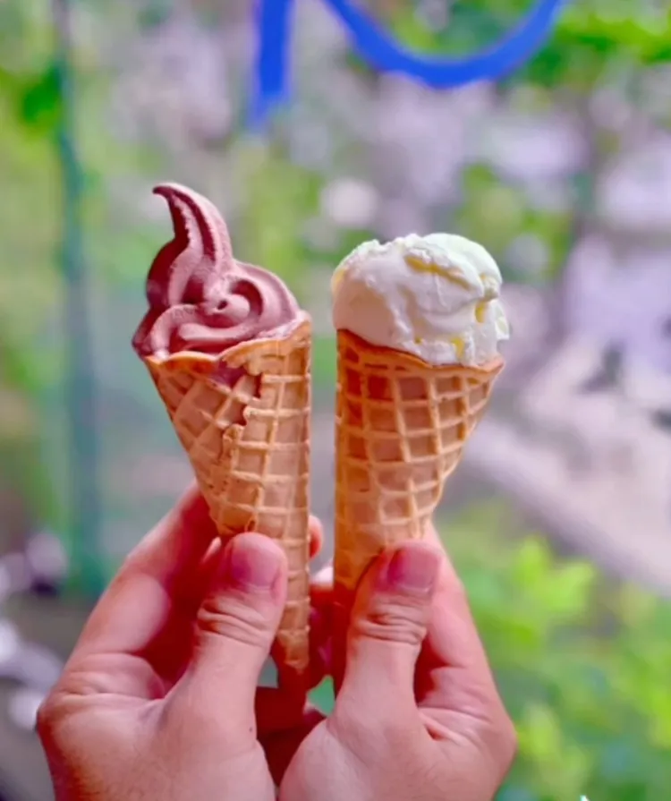 火鍋不管吃多飽，完食來支冰。TikTok@roseforever1 提供