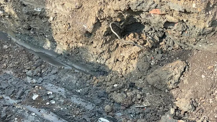 民進黨新北市議員卓冠廷指，這下歹誌大條，檢調勢必要偵辦。取自卓臉書