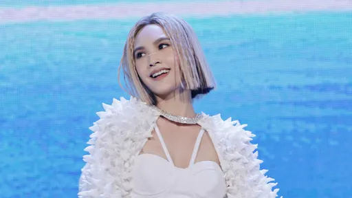 楊丞琳剉咧等!演唱會主辦被政府部門約談 交出影片還原失言現場