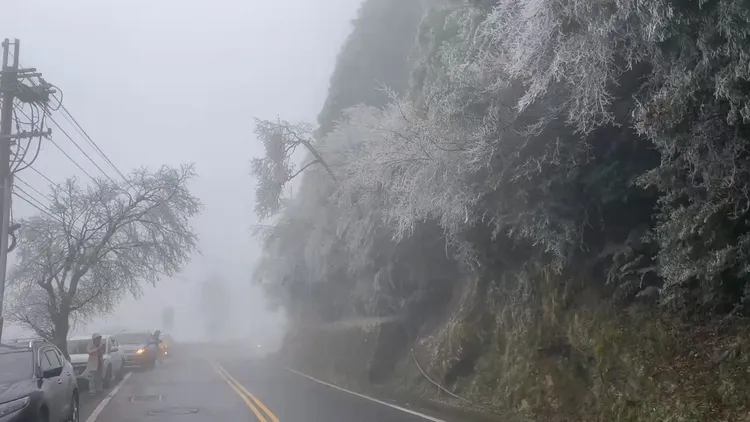遊客將車子停在路邊，下車欣賞霧淞。武陵農場提供