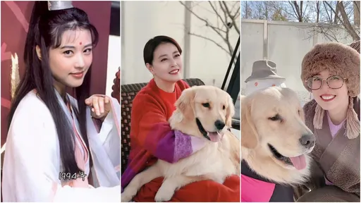 驚曝周海媚猝逝有詭 愛犬帳號更新、最初爆料者動作藏貓膩