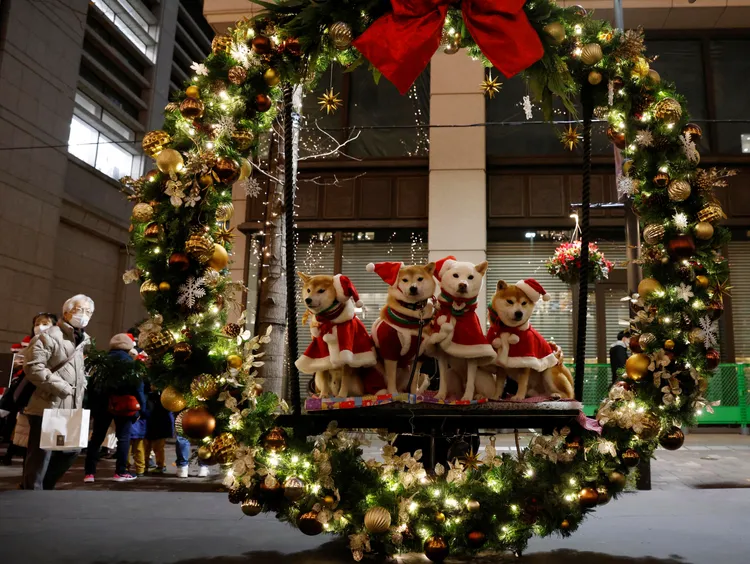 民眾帶著毛小孩在東京街頭擺拍。路透社