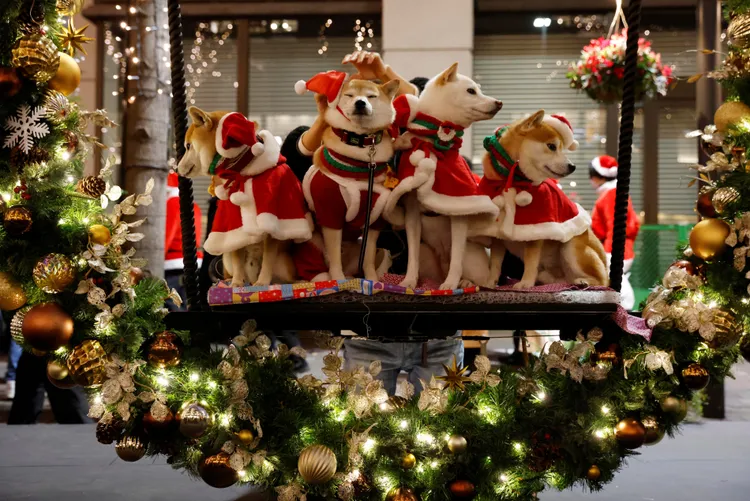 民眾帶著毛小孩在東京街頭擺拍。路透社