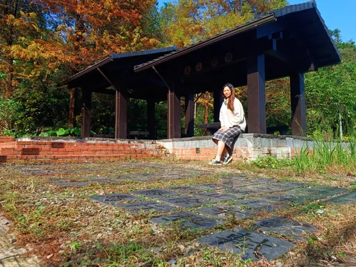 冬季限定！南港落羽松秘境無料美拍　落葉紅毯夢幻登場