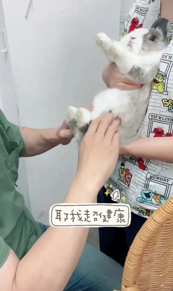 以領養代替購買，養任何寵物都不該隨意丟棄牠們唷！FB粉專：萌萌公主兔世界 提供