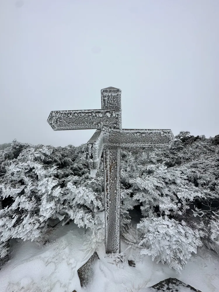 雪山積雪最深達10公分。山友李鳳卉提供