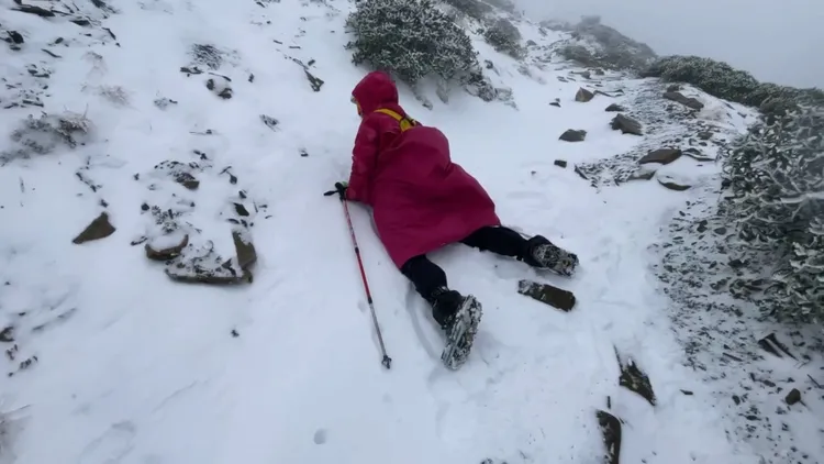 山友興奮撲向雪地玩雪。山友李鳳卉提供